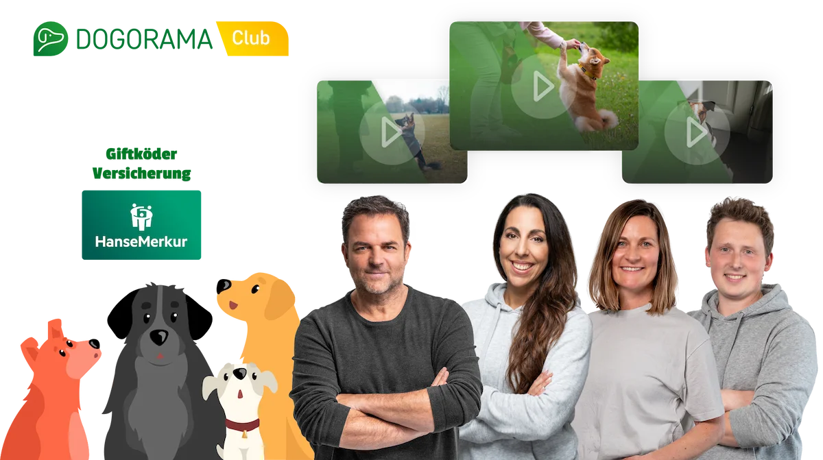 Dogorama Club Banner