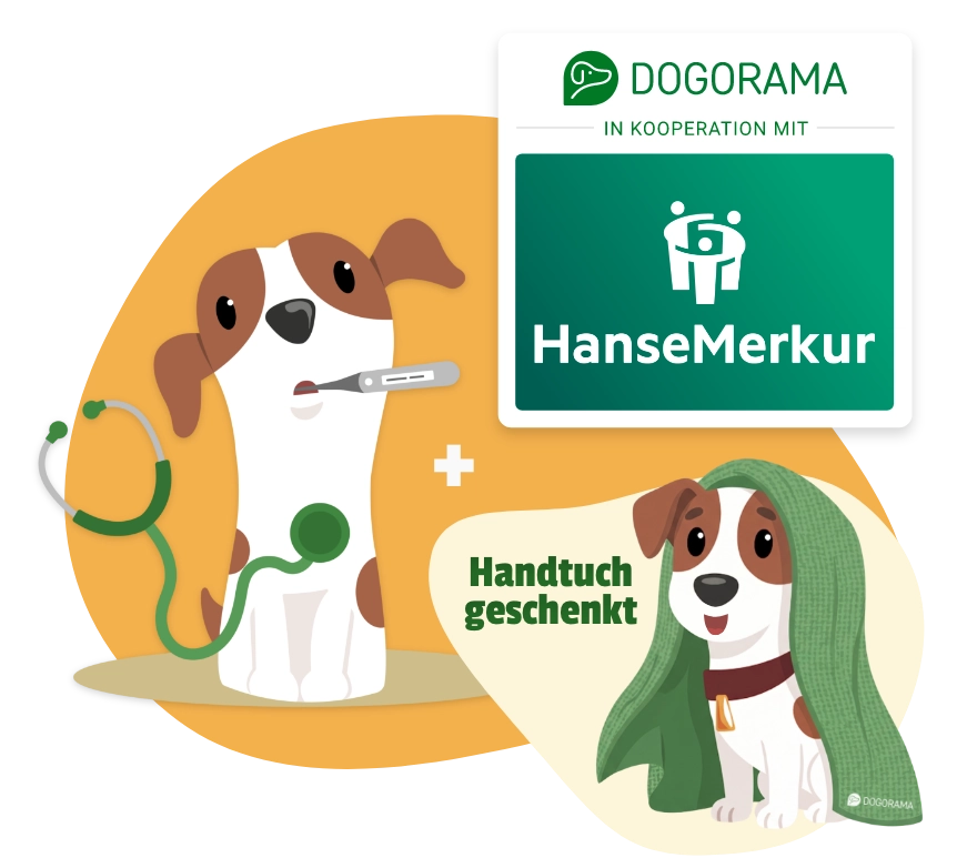 Dogorama Versicherungen Banner Bild