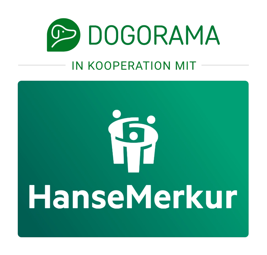 HanseMerkur Logo