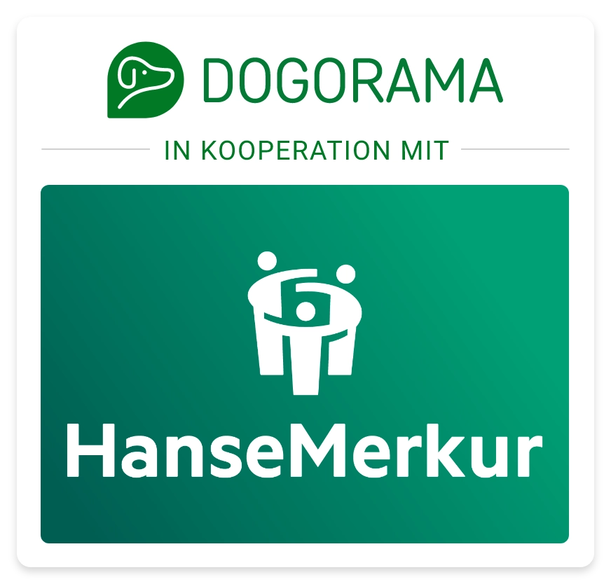 HanseMerkur Logo