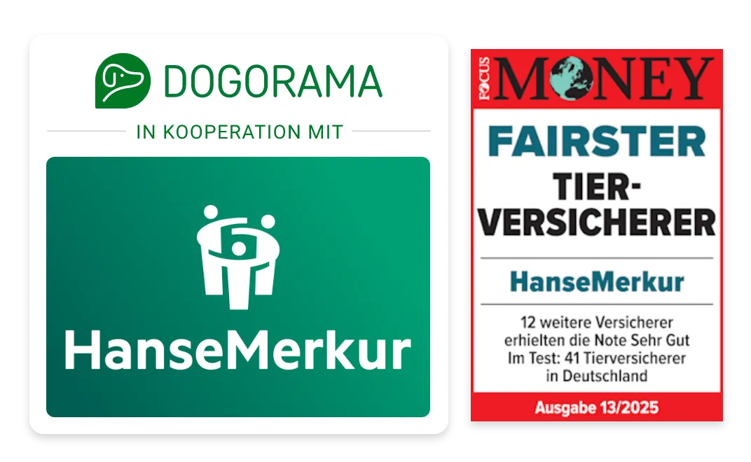 Dogorama HanseMerkur Versicherung