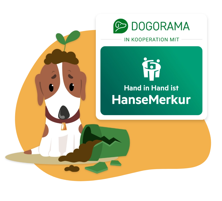 Dogorama Versicherung Hundehalter-Haftpflichtversicherung