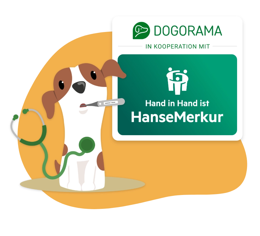 Dogorama Versicherung Hunde-Krankenversicherung