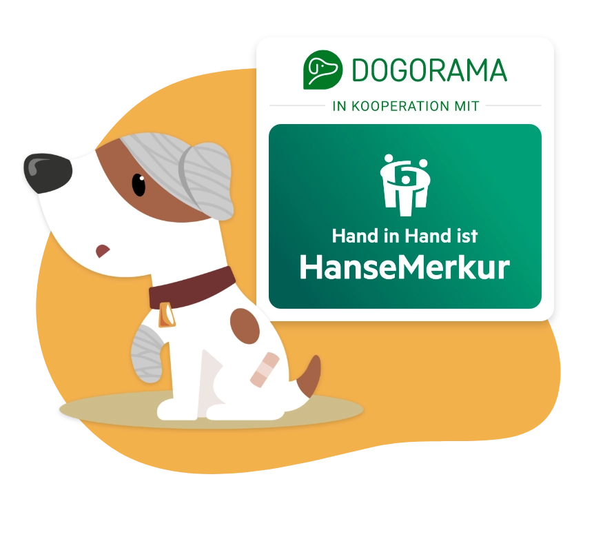 Dogorama Versicherung Hunde-OP-Versicherung