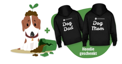 Dogorama Versicherung Hundhalter-Haftpllichtversicherung