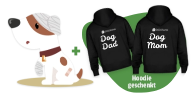 Dogorama Versicherung Hunde-OP-Versicherung