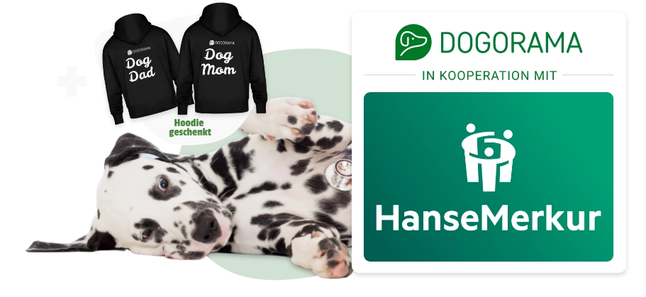 Dogorama Versicherungen Banner Bild