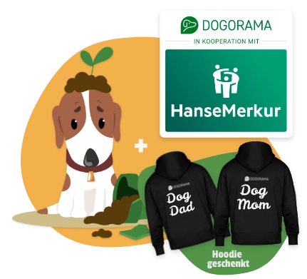 Dogorama Versicherungen Banner Bild