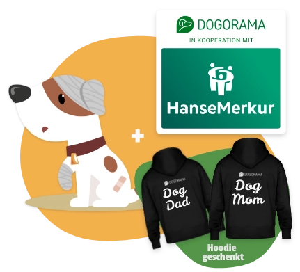 Dogorama Versicherung Hunde-OP-Versicherung