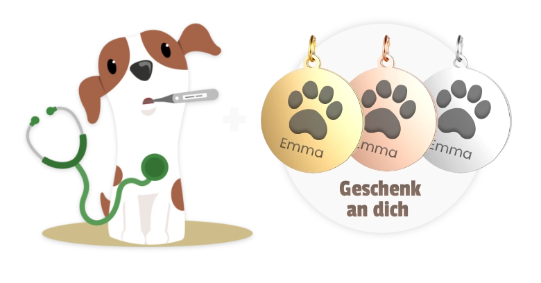 Dogorama Versicherung Hunde-Krankenversicherung