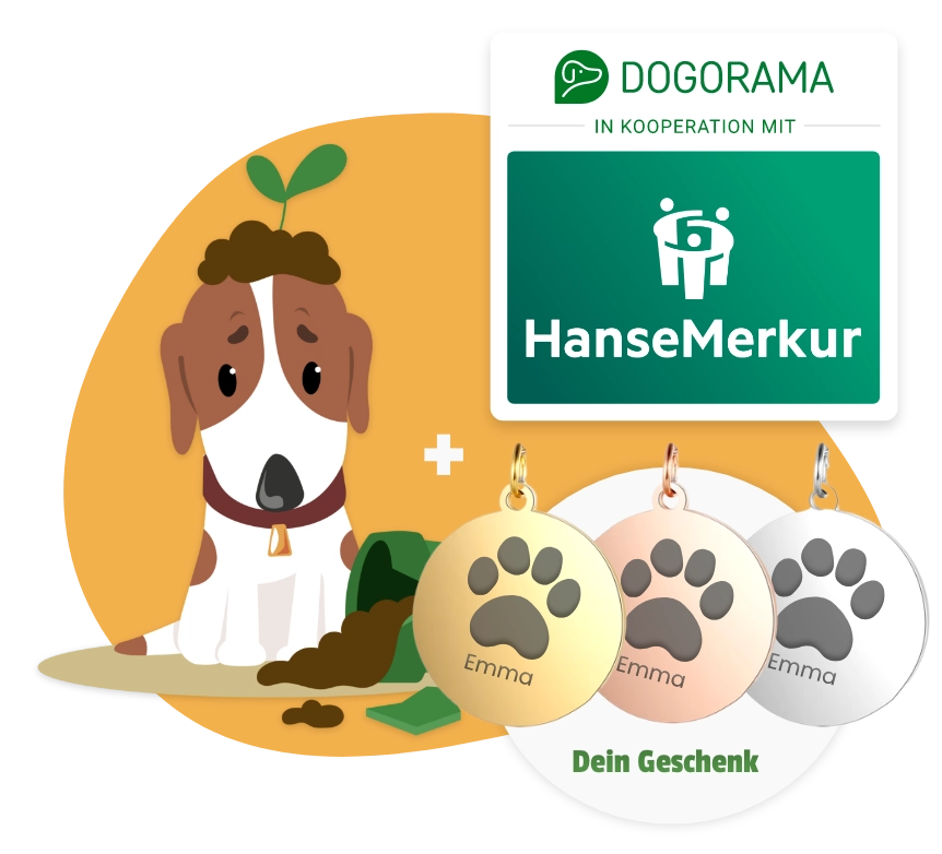 Dogorama Versicherung Hundehalter-Haftpflichtversicherung