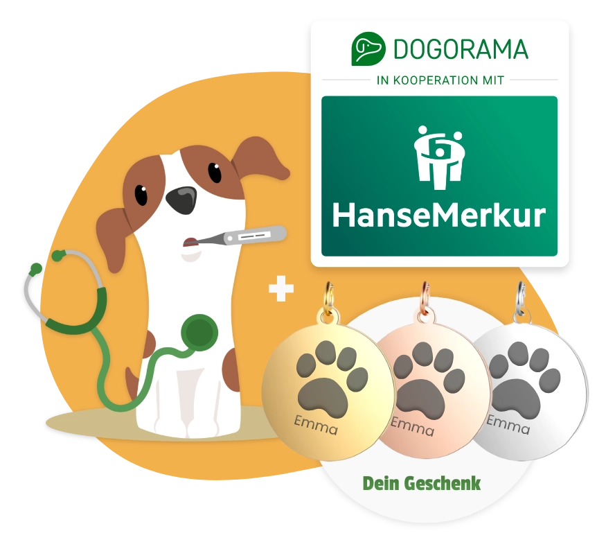 Dogorama Versicherung Hunde-Krankenversicherung