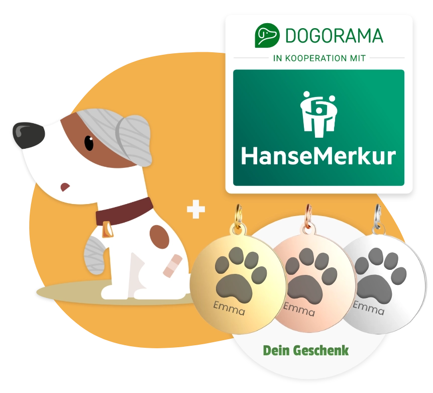 Dogorama Versicherung Hunde-OP-Versicherung