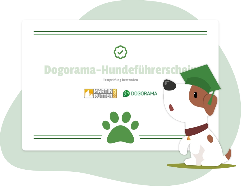Dogorama Hundeführerschein Zertifikat