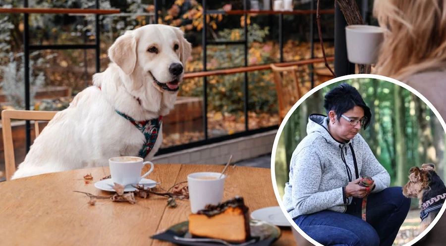 Lektion Mensch & Hund Preview