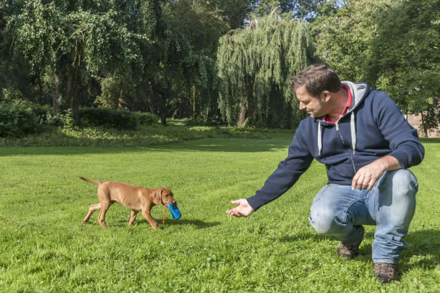 Lektion Hundezucht und Welpen Preview