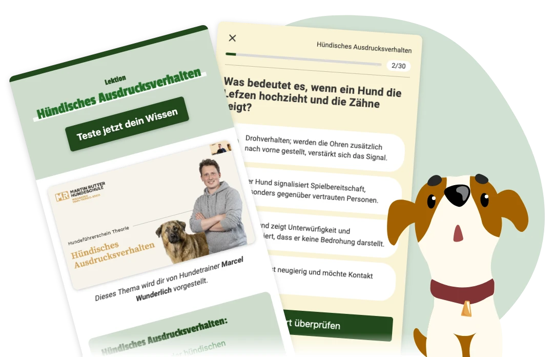 Hundeführerschein