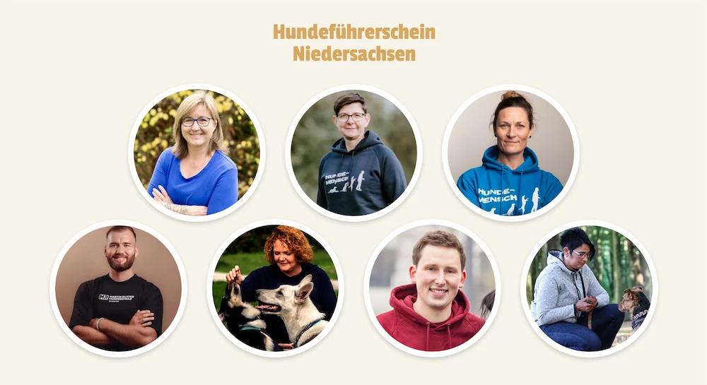 Hundeführerschein Niedersachsen Preview