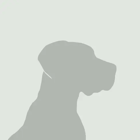 Suchmeldung-Laila-Profilbild