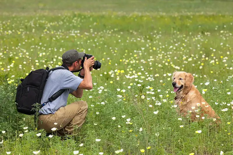 pet photographer-Imagethirst-Image