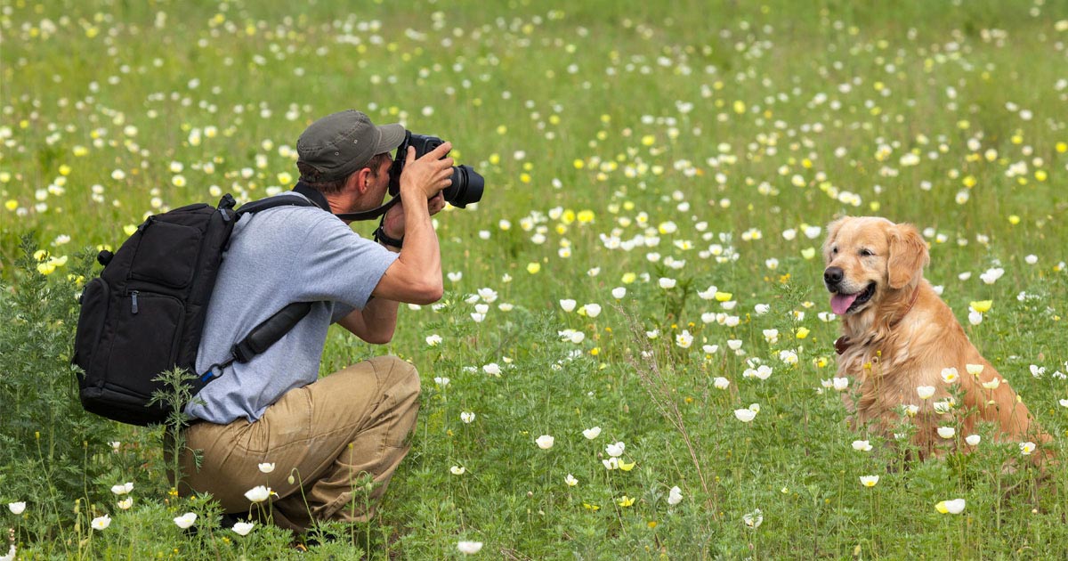 Tierfotografen in der Nähe – Dogorama App