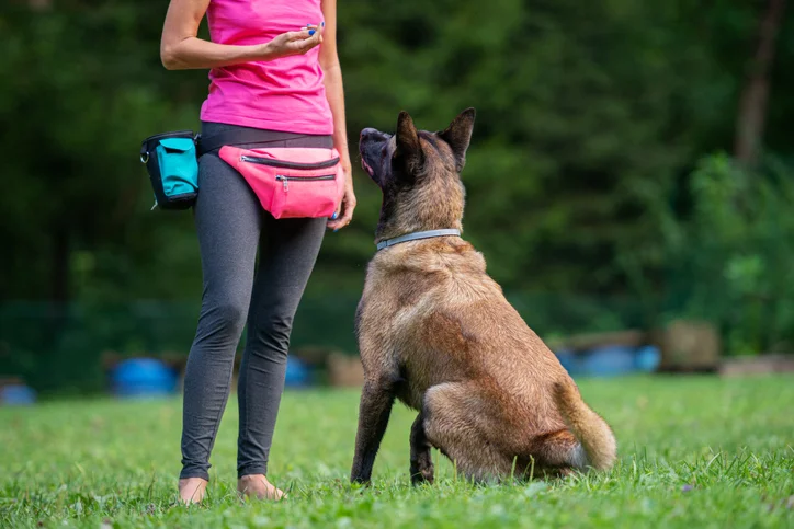 Hundeschule Hundeschule Ruhrpottdogs in Essen Borbeck-Mitte – Dogorama