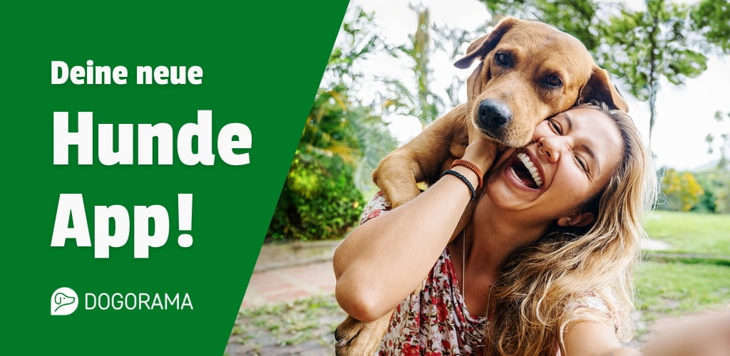 Finde neue Hundefreunde, Hundewiesen, Tierärzte & Giftköderwarnungen!
