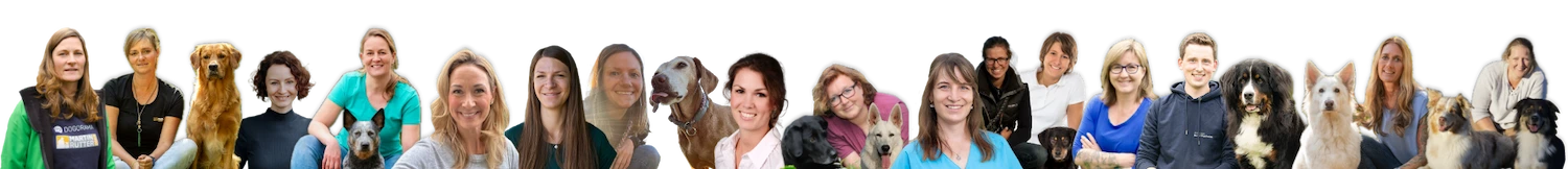 Dogorama Club Akademie Banner