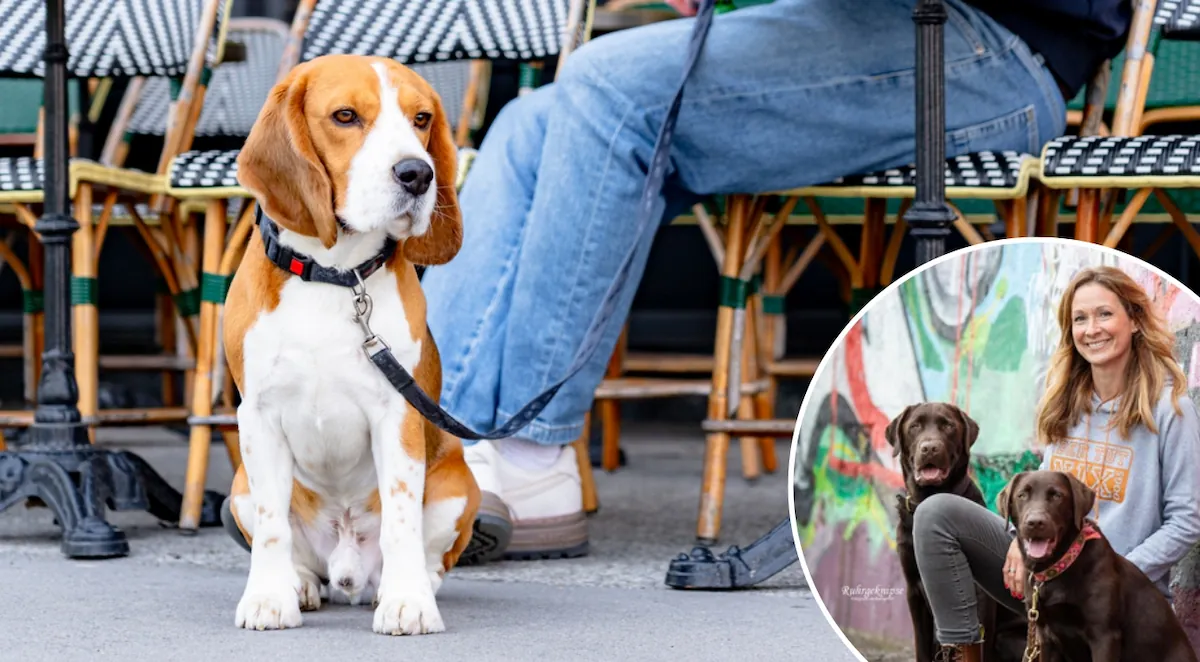 Wissenswoche – Alltag mit Hund