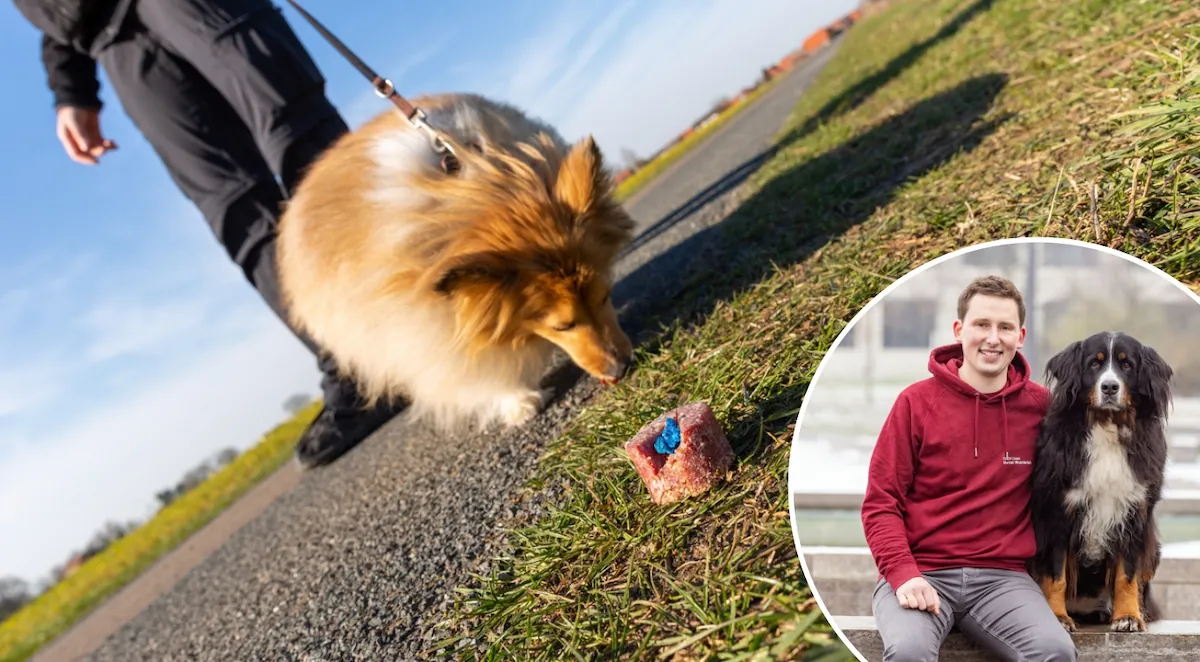 Wissenswoche – Anti-Giftköder-Training