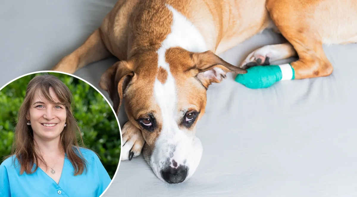 Wissenswoche – Erste Hilfe