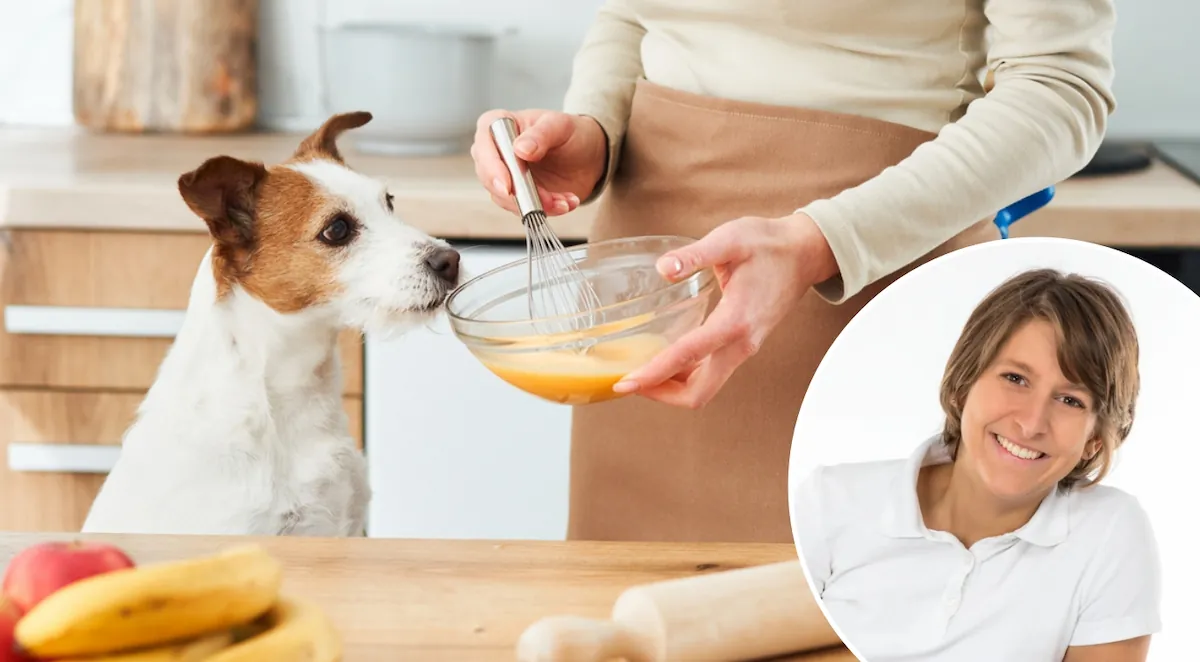 Wissenswoche – Kochen für den Hund