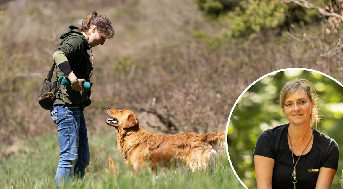 Wissenswoche – Rückruf / Anti-Jagd Training