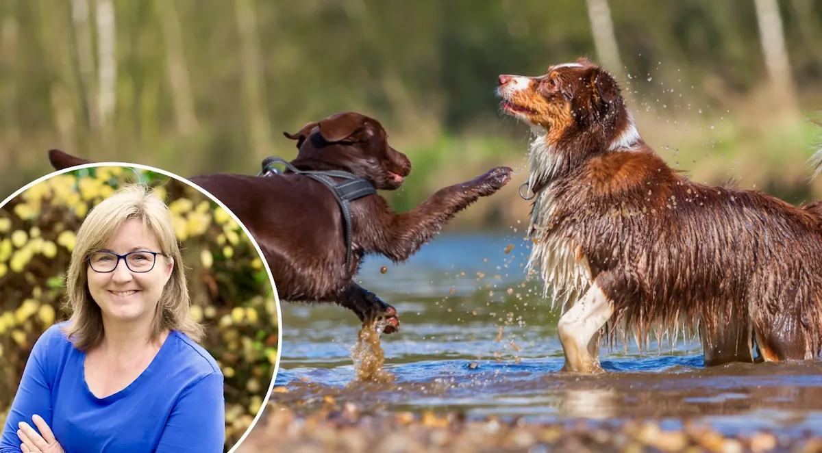 Wissenswoche – Spielverhalten