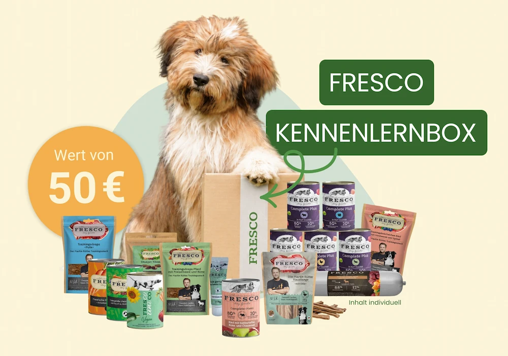 FRESCO Kennenlernbox Gewinnspiel