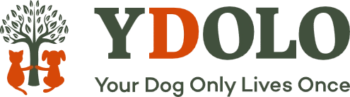 YDOLO Logo