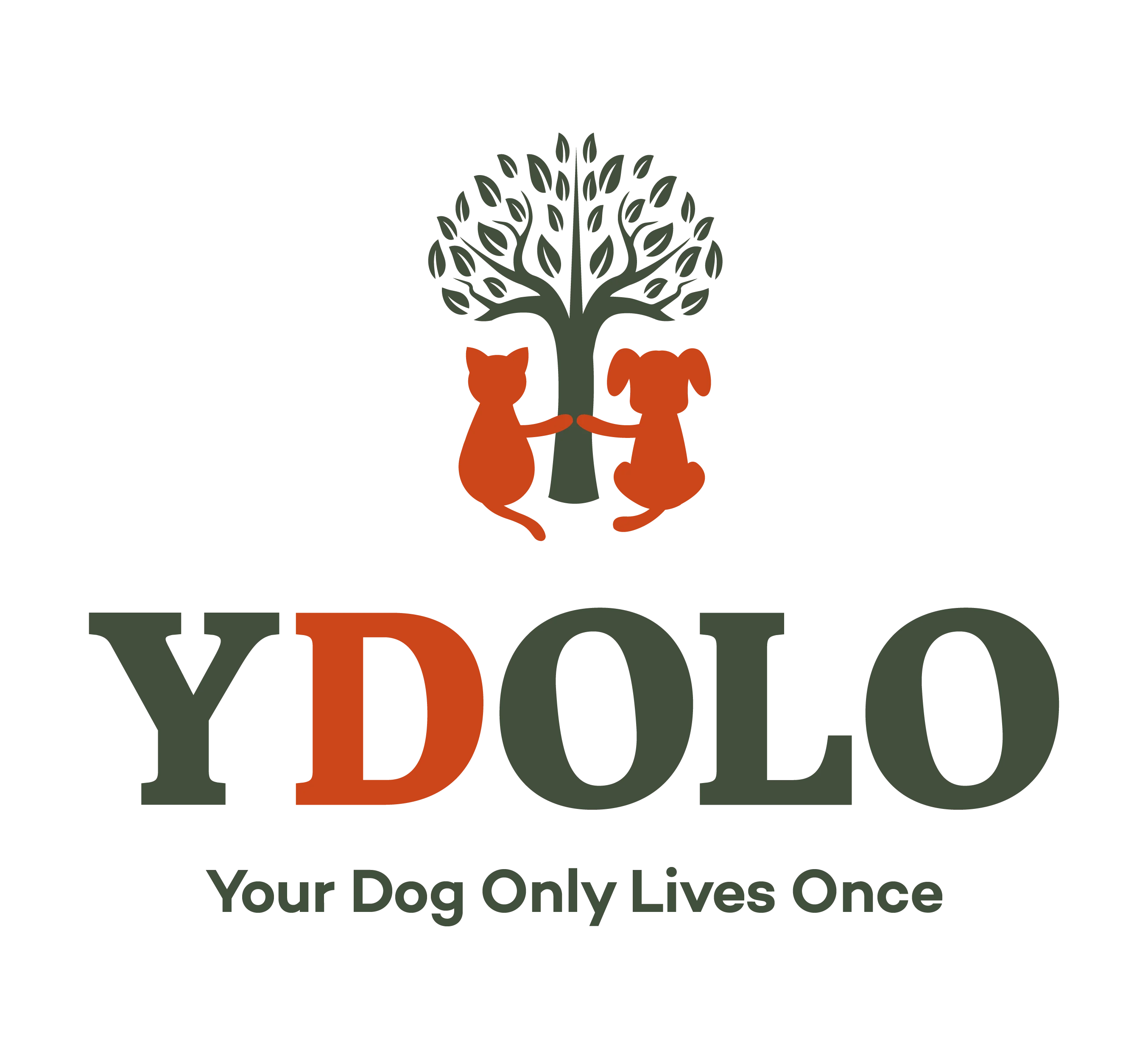 YDOLO Logo