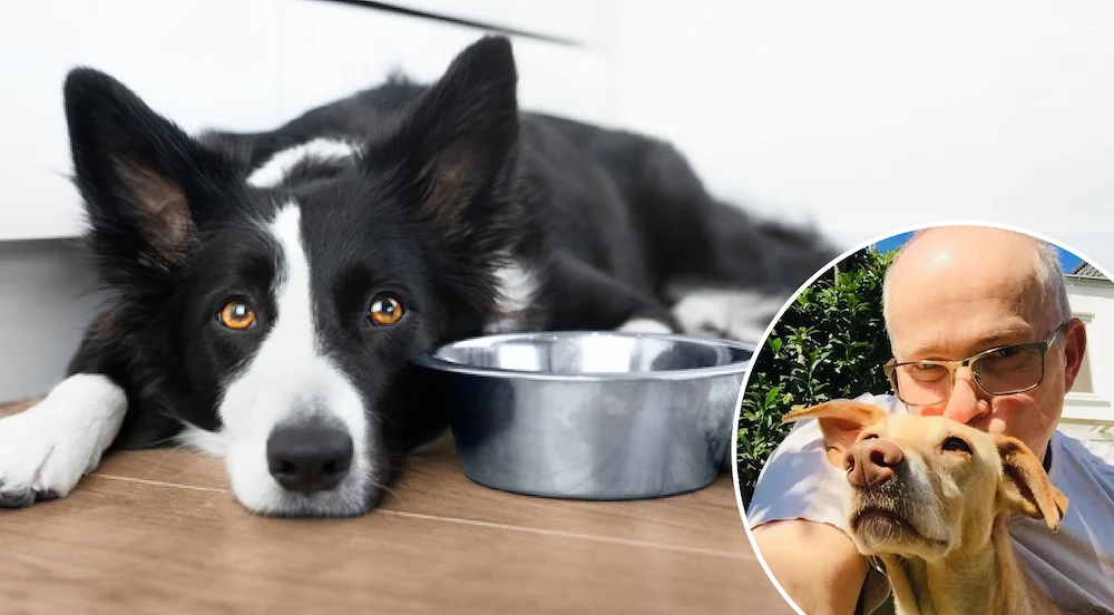 Napfwissen – Der Hund, der nicht frisst – mäkelige Esser verstehen